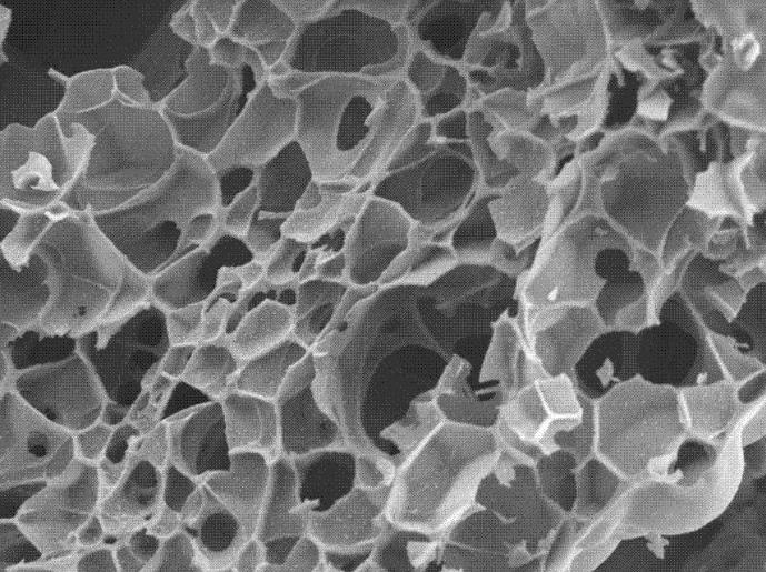 Bismuth nanoparticles are nontoxic magnetic nanoparticles with high specific surface area