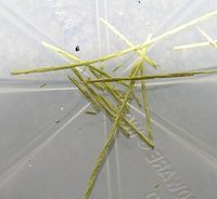 {xunruicms_img_title} {xunruicms_img_title}